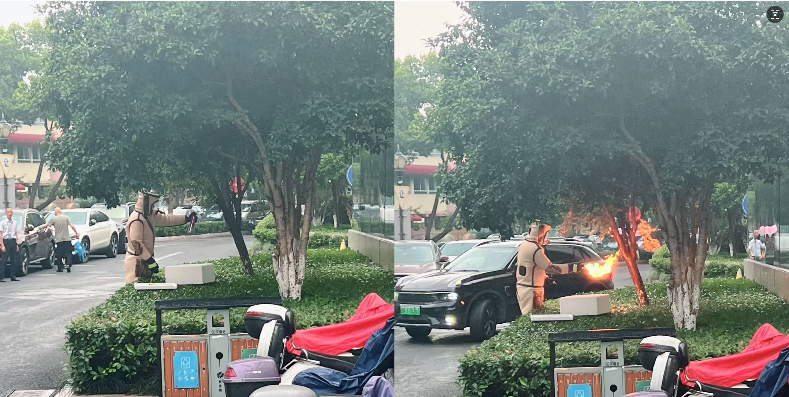 安全守护零距离，水晶城急剧措置表围蜂群隐患