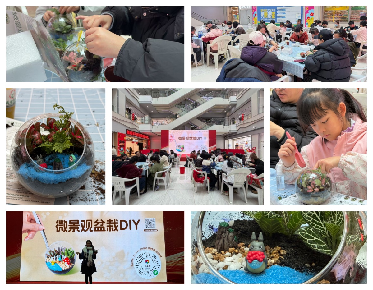 巧手造微景，指尖绽春意——水晶城微景观盆栽 DIY 活动圆满进行