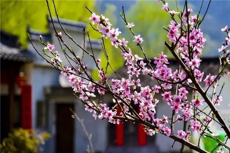 杏彩(中国)体育官方网站-XC SPORTS