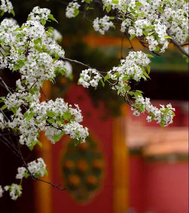 杏彩(中国)体育官方网站-XC SPORTS