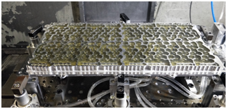 杏彩(中国)体育官方网站-XC SPORTS