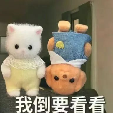 杏彩(中国)体育官方网站-XC SPORTS