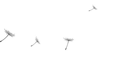 杏彩(中国)体育官方网站-XC SPORTS
