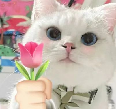 杏彩(中国)体育官方网站-XC SPORTS