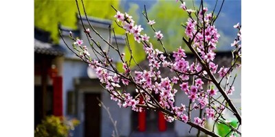 阳春三月，，，杏彩精机一大波展会即未来袭，，，您准备好了吗？？？？？？